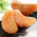 Manufacture Grapefruit Fresh Chinese Shaddock for Wholesale Honey Golden Pomelo